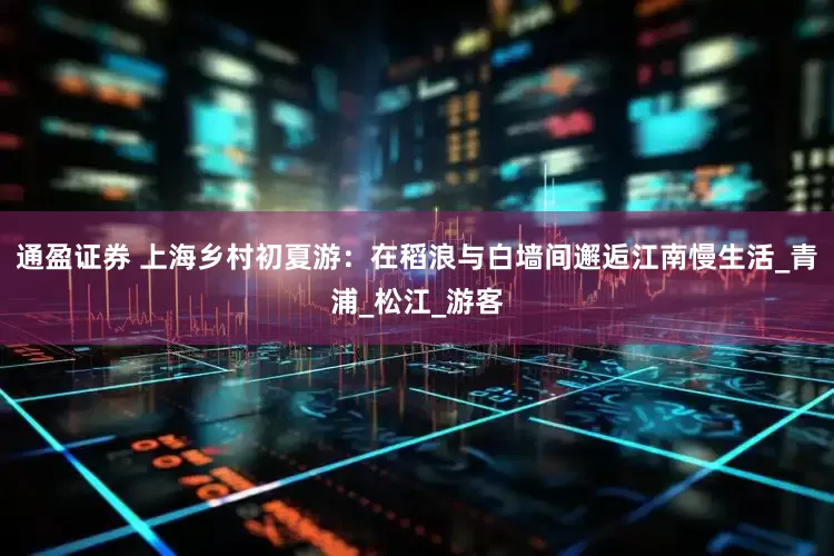通盈证券 上海乡村初夏游：在稻浪与白墙间邂逅江南慢生活_青浦_松江_游客