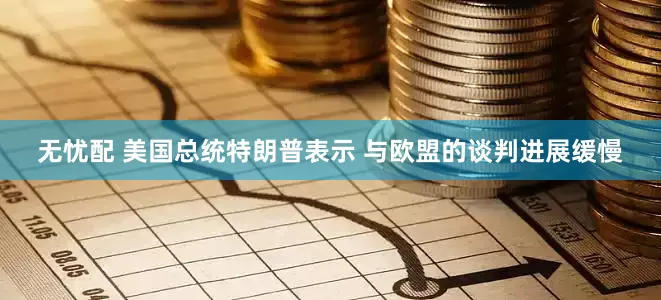 无忧配 美国总统特朗普表示 与欧盟的谈判进展缓慢