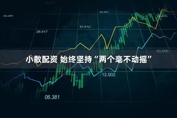 小散配资 始终坚持“两个毫不动摇”
