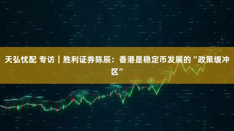 天弘忧配 专访｜胜利证券陈辰：香港是稳定币发展的“政策缓冲区”